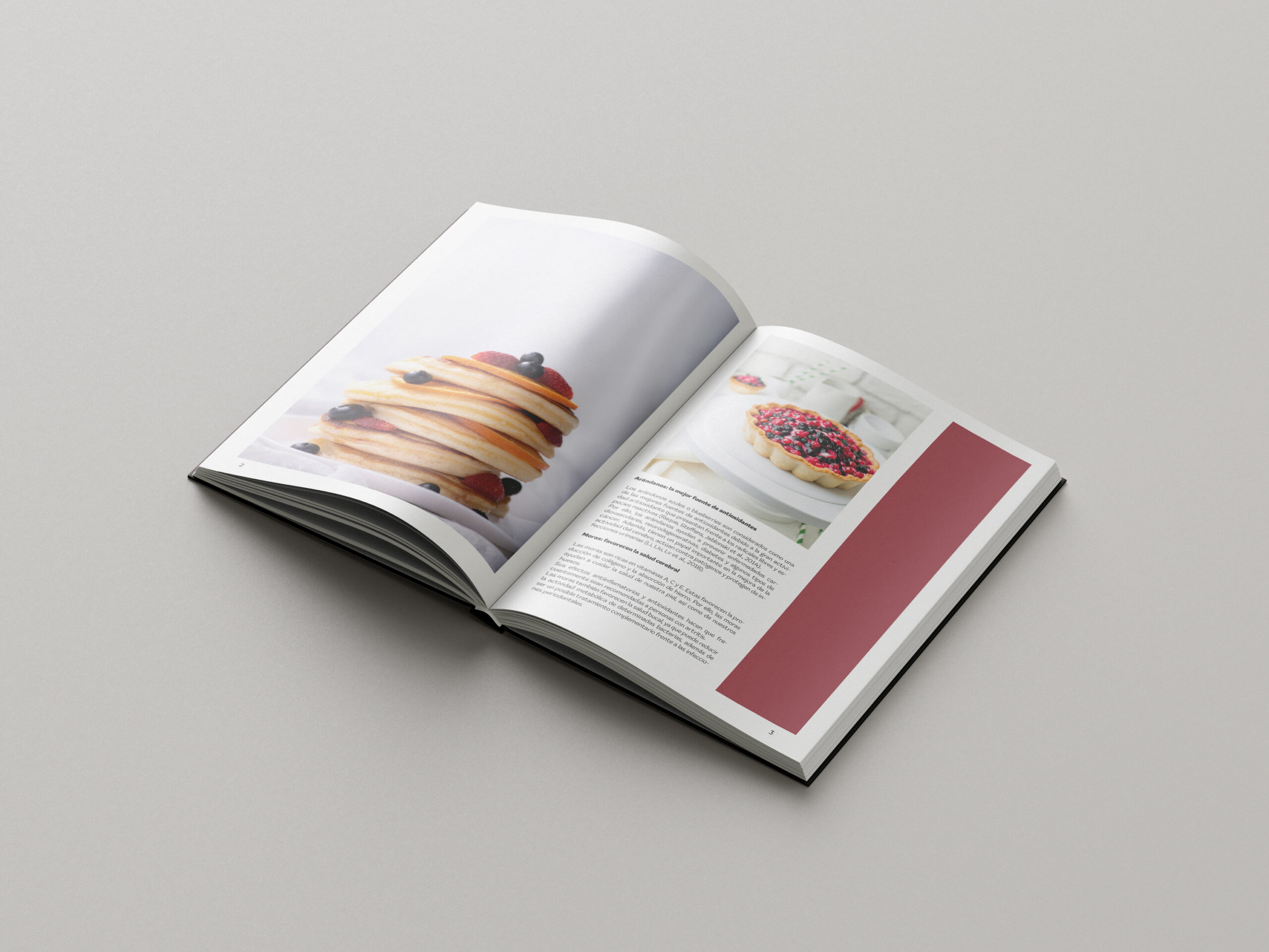 Free_Book_Mockup_2